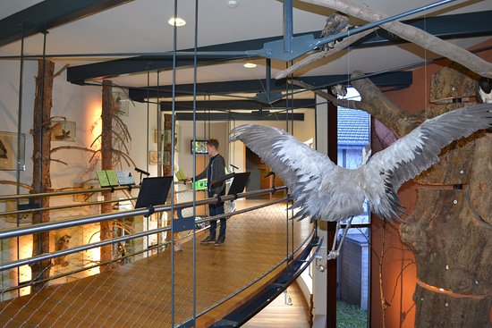 Mezzanine