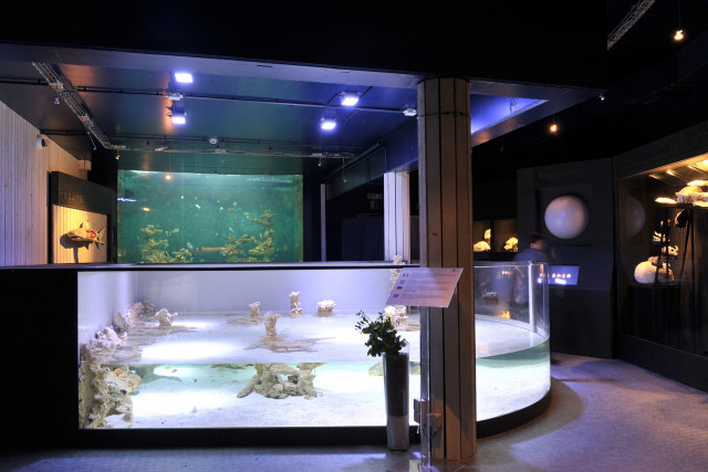 Aquarium