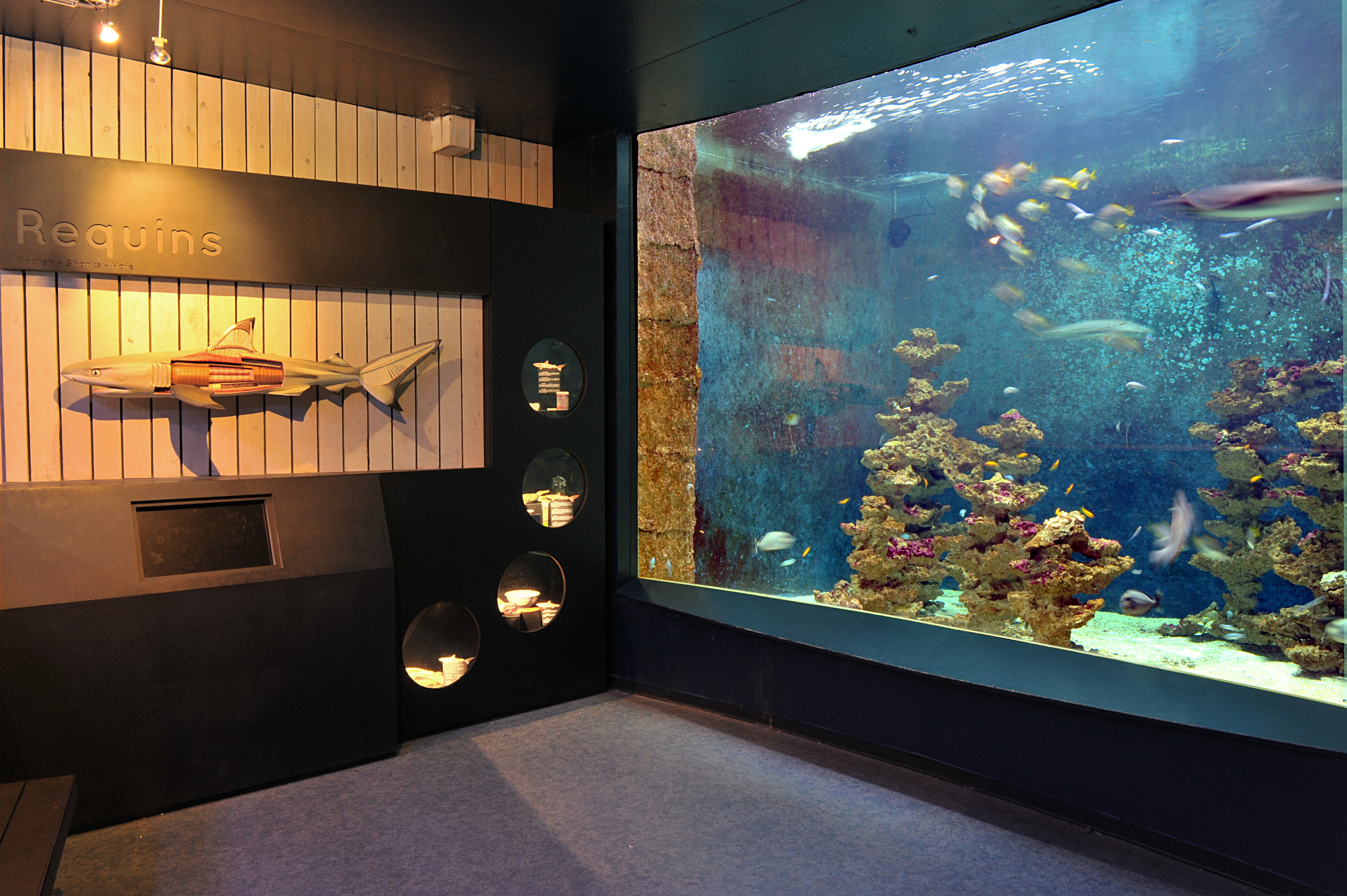 Aquarium
