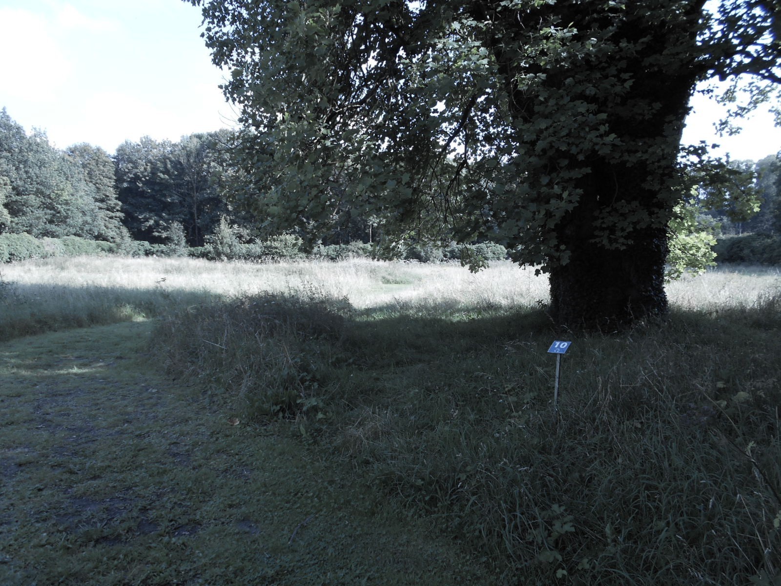 Chemin en gazon dans la partie promenade