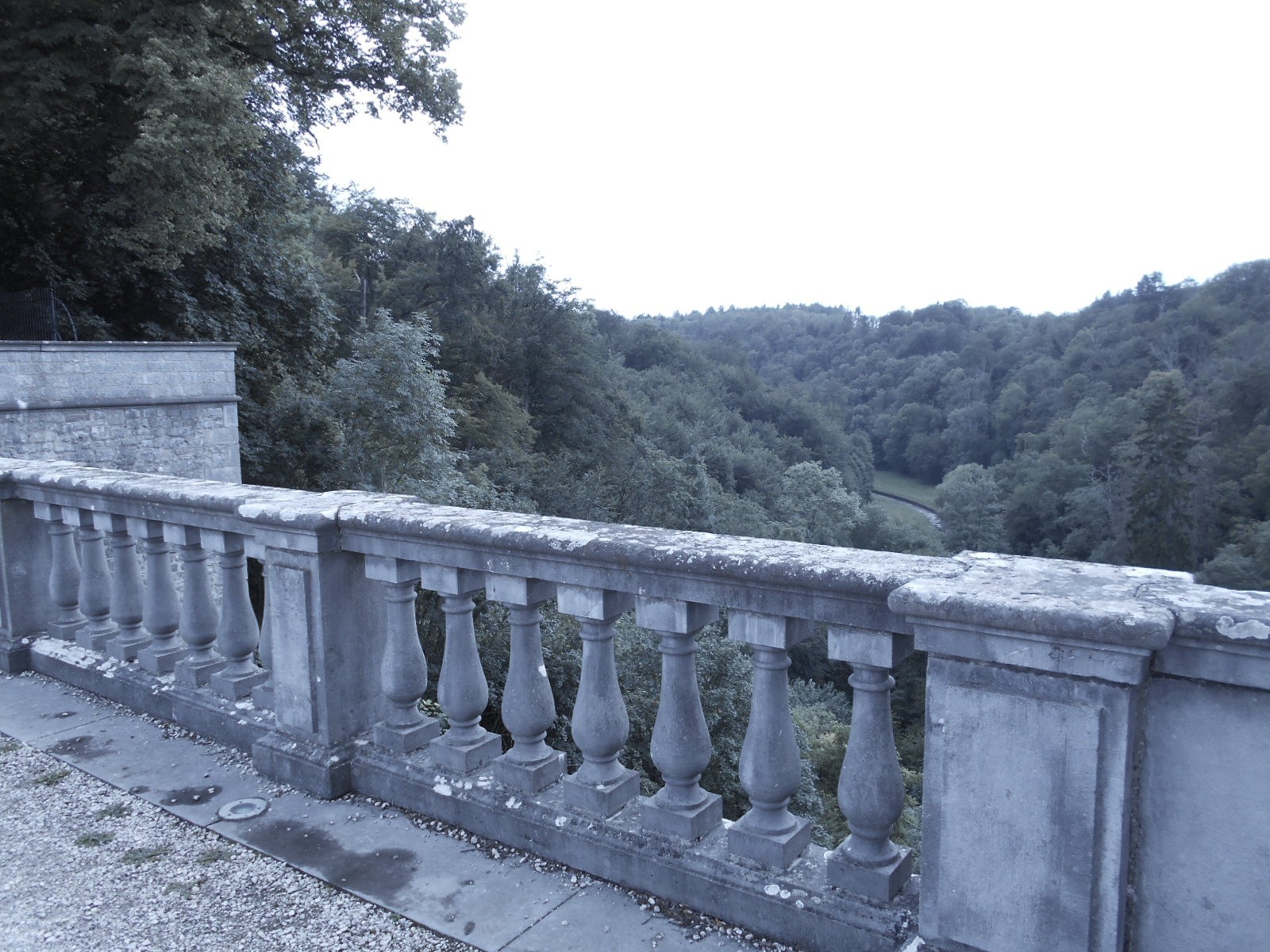 Panorama à l'arrière du Château