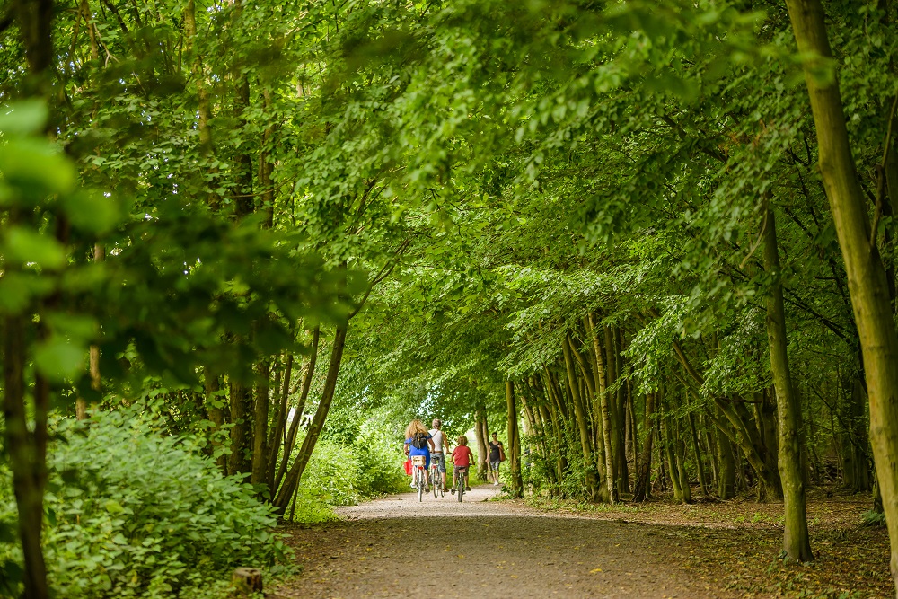 Parc du Roi Baudouin